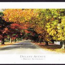 A2073 Australia V Delany Avenue Bright Autumn Leaves postcard