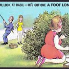 B1271cgt Humour Quick Mum Look At Basil #70 postcard