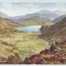 C4832cgt UK Wales Gwyant Valley vintage postcard