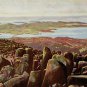A3370cgt Australia T Hobart from Mt Wellington vintage postcard