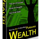 Pursuing Wealth
