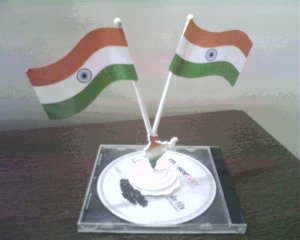 Plastic Flag Display