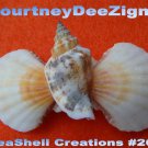 Scallop Seashell French Barrette #260 Handmade Hair, Shirt or Scarf Clip