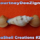Artisan Seashells French Barrette #261 Handmade Hair, Shirt or Scarf Clip