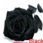 9 COLORS 1800 SEEDS ROSE SEEDS