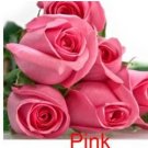 9 COLORS 1800 SEEDS ROSE SEEDS