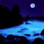 DEEP PSYCHIC ASTRAL PROJECTION SPIRIT LUCID DREAM TRAVEL OOBE~SPELL RING HAUNTED