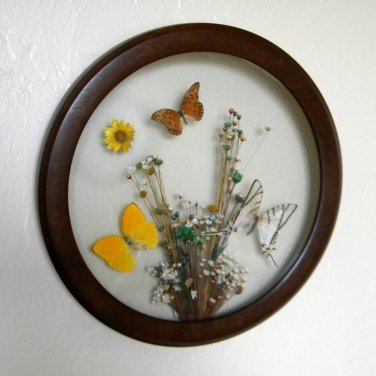 Beautiful Circular Wall Hanging Butterfly Display