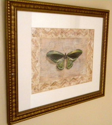 Large Framed Butterfly Print