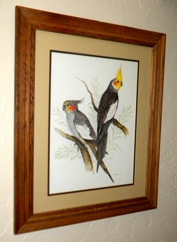 Beautiful Bird Print in Solid Oak Frame