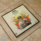 Wings - Framed Vintage Record Album Cover – 0130
