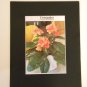 Matted Print - 8x10 - Flower – Crossandra