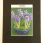 Matted Print - 8x10 - Flower – Hyacinth