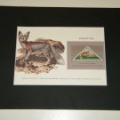 Matted Print and Stamp - Desert Fox - World Wildlife Fund