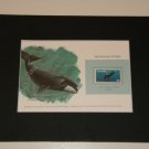 Matted Print and Stamp - Bowhead Whale  - World Wildlife Fund
