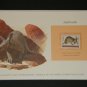 Matted Print and Stamp - Aardvark - World Wildlife Fund