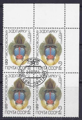 Stamps - Russia 1984  Scott #5226 - Block of 4 - African Mandrill (Mandrillus sphinx)