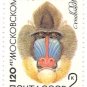 Stamps - Russia 1984  Scott #5226 - Block of 4 - African Mandrill (Mandrillus sphinx)