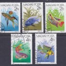 Stamps - Hungary 1987  - Tropical Fish Stamp Set (5)