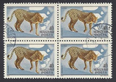 Hungarian Postage Stamps - African Cheetah (Acinonyx jubatus)