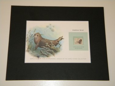 Matted Print and Stamp - Harbor Seal  - World Wildlife Fund