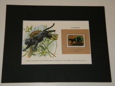 Matted Print and Stamp - The Leopard - World Wildlife Fund