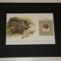 Matted Print and Stamp - Wombat - World Wildlife Fund