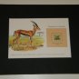 Matted Print and Stamp - Thomson's Gazelle  - World Wildlife Fund