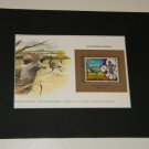 Matted Print and Stamp - Common Rhea - World Wildlife Fund