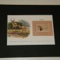 Matted Print and Stamp - Impala- World Wildlife Fund