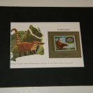 Matted Print and Stamp - Coatimundi - World Wildlife Fund