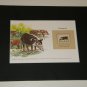 Matted Print and Stamp - Bushpig - World Wildlife Fund