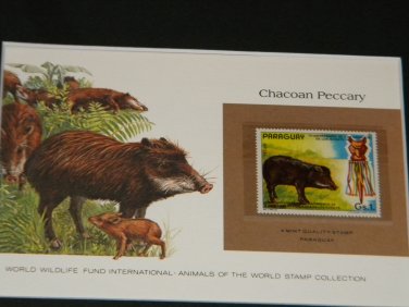 Matted Print and Stamp - Chacoan Peccary - World Wildlife Fund
