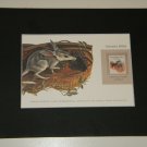 Matted Print and Stamp - Greater Bilby- World Wildlife Fund