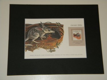 Matted Print and Stamp - Greater Bilby- World Wildlife Fund