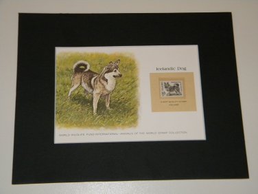 Matted Print and Stamp - Icelandic Dog - World Wildlife Fund