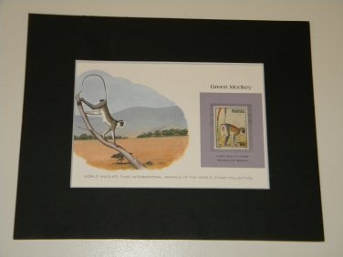 Matted Print and Stamp - Green Monkey - World Wildlife Fund