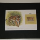 Matted Print and Stamp - Tiger - World Wildlife Fund