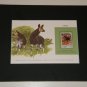 Matted Print and Stamp - Okapi - World Wildlife Fund