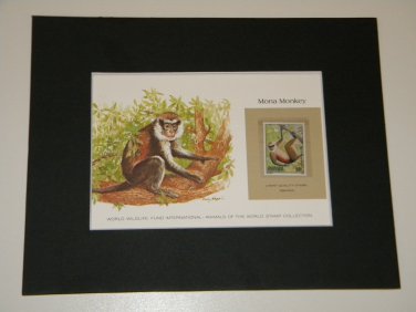 Matted Print and Stamp - Mona Monkey - World Wildlife Fund