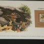 Matted Print and Stamp - Chipmunk - World Wildlife Fund