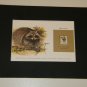 Matted Print and Stamp - Raccon - World Wildlife Fund