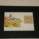 Matted Print and Stamp - Pronghorn Antelope - World Wildlife Fund