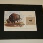 Matted Print and Stamp - Bison- World Wildlife Fund