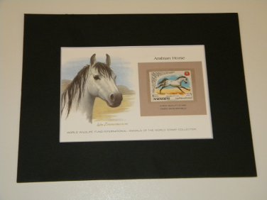 Matted Print and Stamp - Arabian Horse - World Wildlife Fund