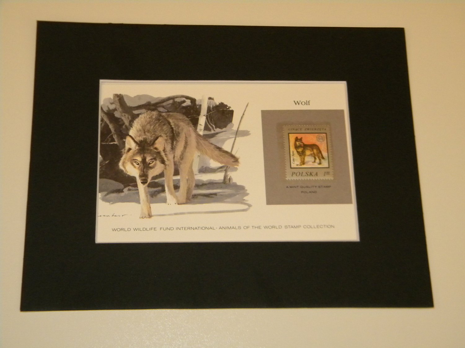 Matted Print and Stamp Wolf World Wildlife Fund