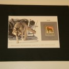 Matted Print and Stamp - Wolf - World Wildlife Fund