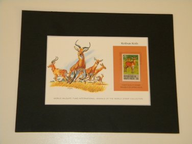 Matted Print and Stamp - Kobus Kob - World Wildlife Fund