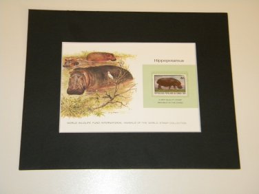 Matted Print and Stamp - Hippopotamus - World Wildlife Fund