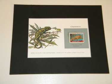 Matted Print and Stamp - Chameleon - World Wildlife Fund